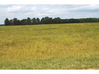 Dekalb County, Indiana Farmland - MAJOR LAND AUCTION - 516+/- ACRES OFFERED IN 18 TRACTS OR COMBINATIONS IN DEKALB COUNTY, INDIANA